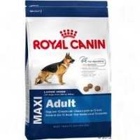Maxi Adult 10 kg